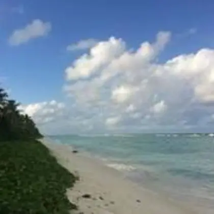 Pine Lodge Maldives - Plaj