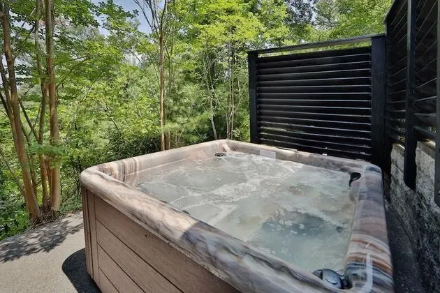 Pine Needles 6 - One Bedroom Chalet - Spa