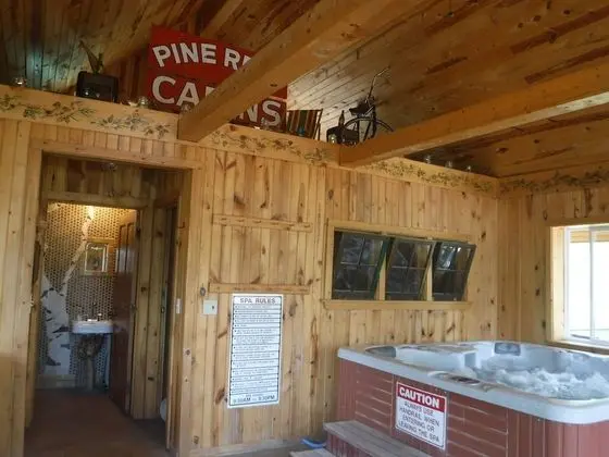 Pine Rest Cabins - Havuz