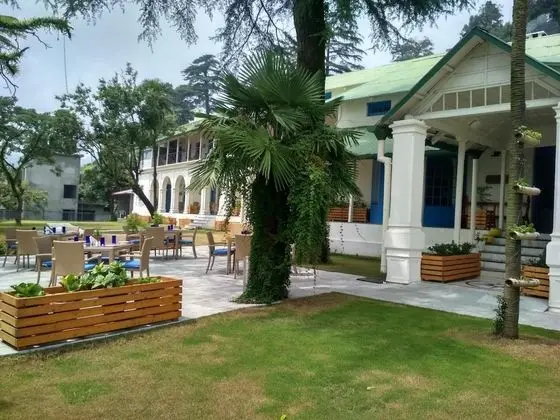 Pine Retreat