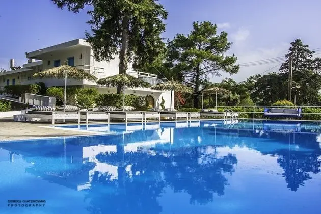 Pine Trees Art Hotel