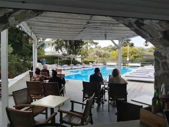 Pine Trees Art Hotel - Dış Mekan