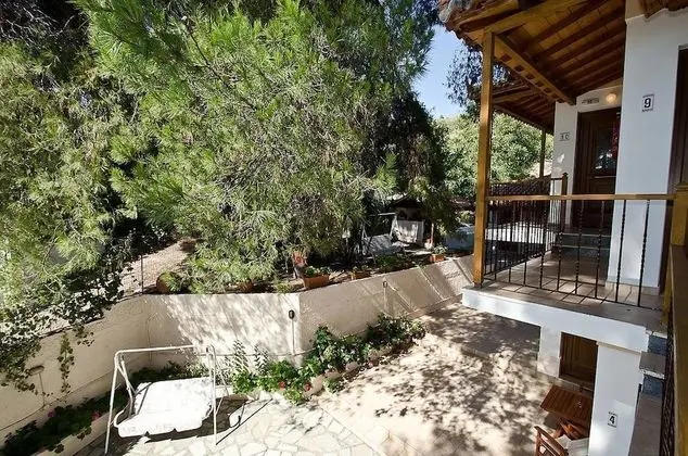 Pine Trees - Dış Mekan