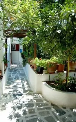 Villa Pinelopi - Dış Mekan