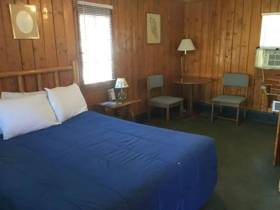 Pines Motel - Oda