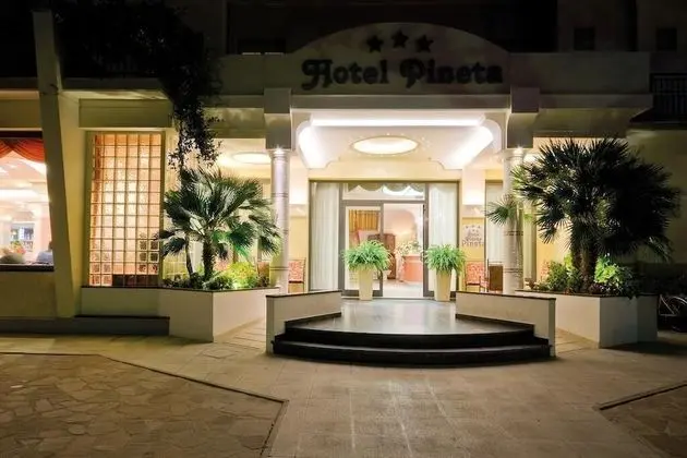 Hotel Pineta - Dış Mekan