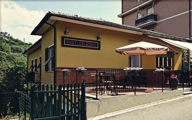 Pineta del Borgo - Öne Çıkan Resim