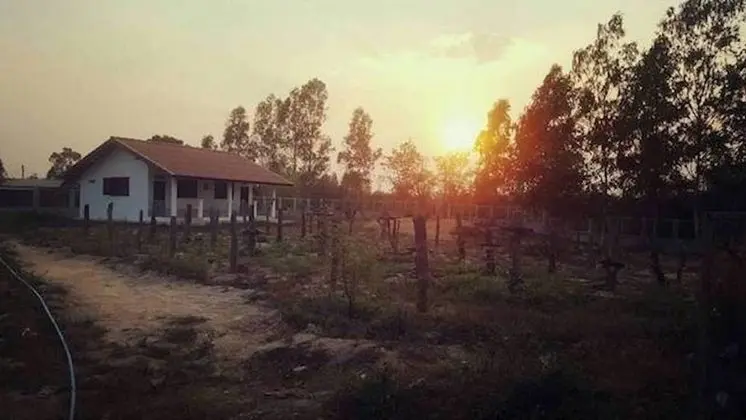 Pings Farmstay - 1