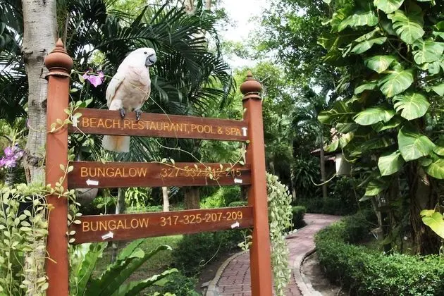 Pinnacle Samui Resort SHA Plus - Dış Mekan