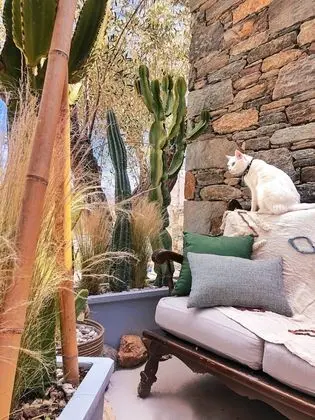 Pino di Loto Boutique Bed & Breakfast - Dış Mekan
