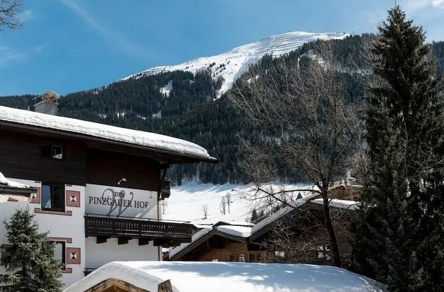 Hotel Pinzgauerhof by Skinetworks - Dış Mekan