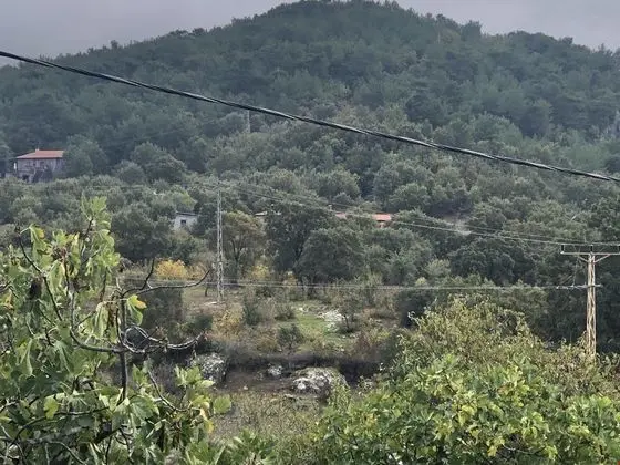 Pionia Country House