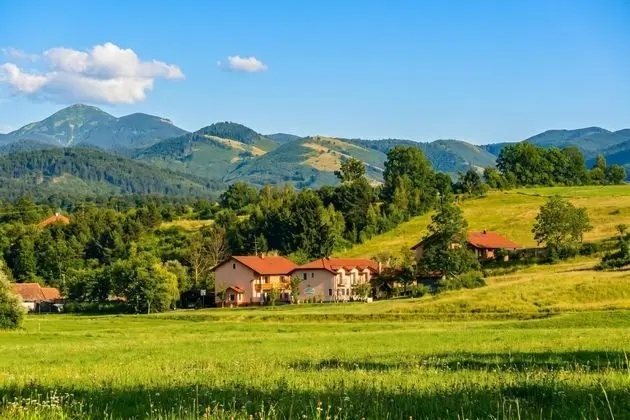 Pivka Lovely Duplex With Sauna - Genel