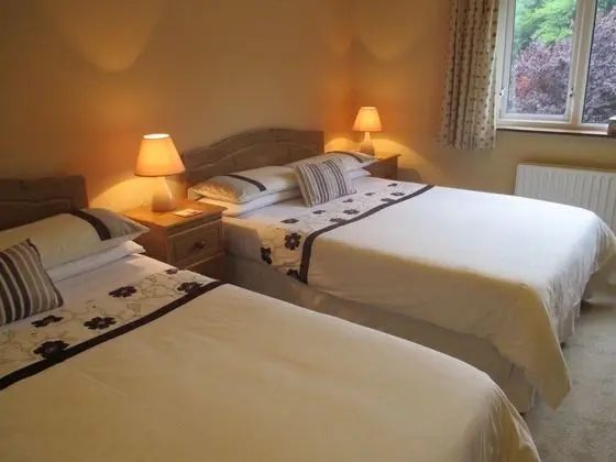 PK Lodge B&B - Oda