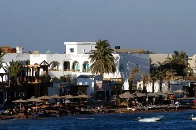 Hotel Planet Oasis
