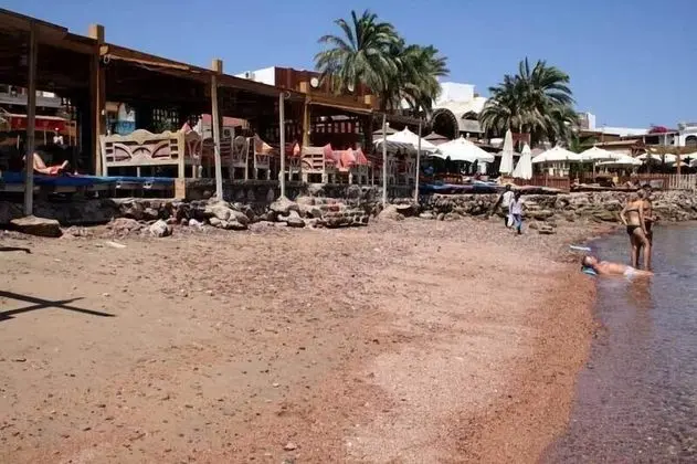Hotel Planet Oasis - Plaj