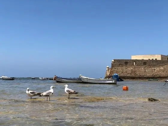 Planeta Cadiz Hostel - Plaj