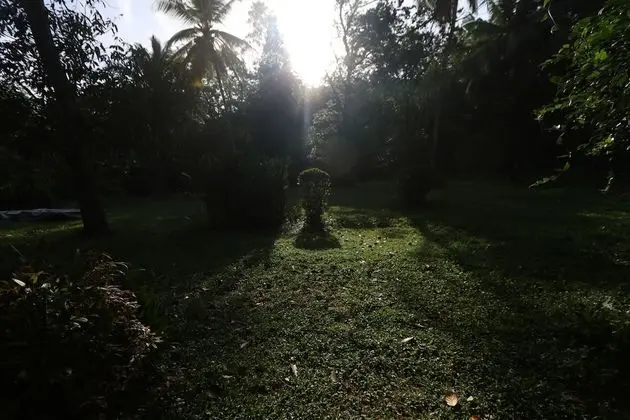 Plantation Villa Ayurveda Yoga Resort - Dış Mekan
