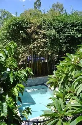 Plantation Red Hill Brisbane - Havuz