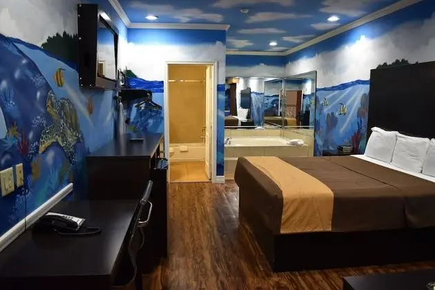 Platinum Inn Katy - Oda Manzaraları
