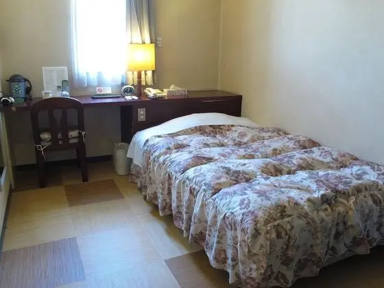 Hotel Platon Annex Green Plaza - Oda