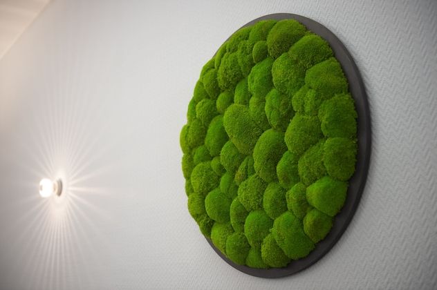 Platzhirsch HotelFotoğrafı