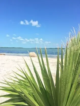 Playa De Sala - Plaj
