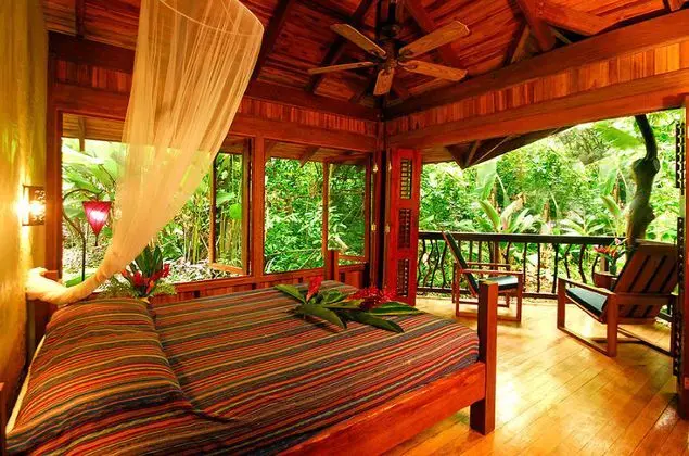 Playa Nicuesa Rain Forest Lodge - Oda