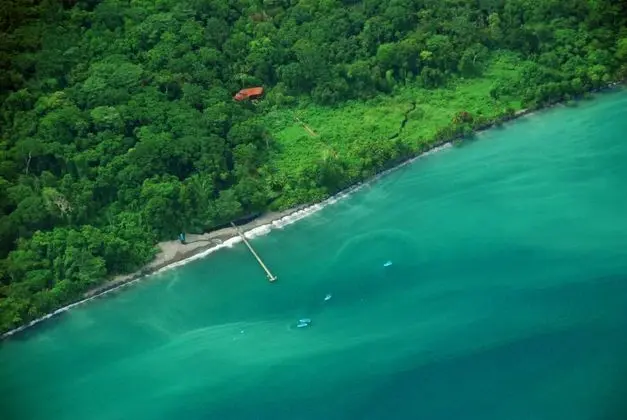 Playa Nicuesa Rain Forest Lodge - Plaj