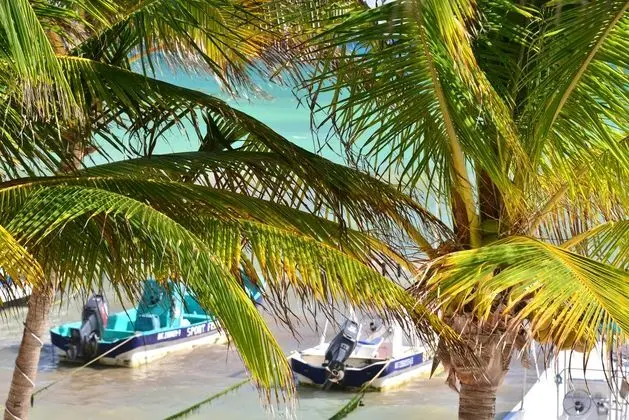 Playa Palms - Plaj