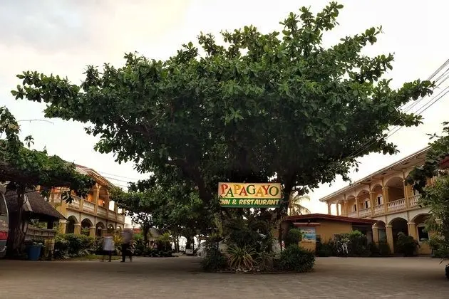 Playa Papagayo Beach Inn & Restaurant - Dış Mekan