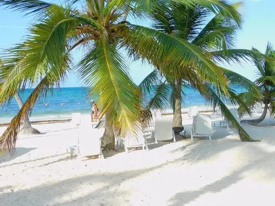Playa Turquesa E302 Playa Bavaro Punta Cana - Plaj