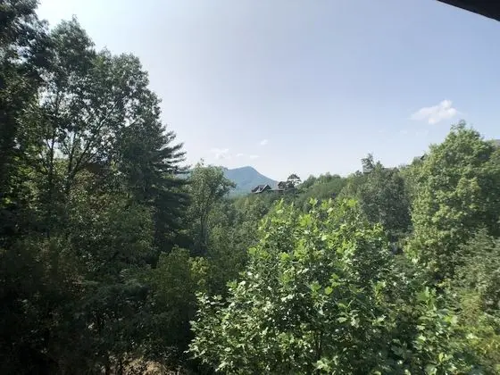 Playhouse Cinema - Four Bedroom Cabin - Dış Mekan