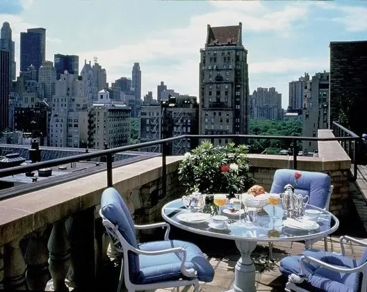 Plaza Athenee - Manzara / Peyzaj