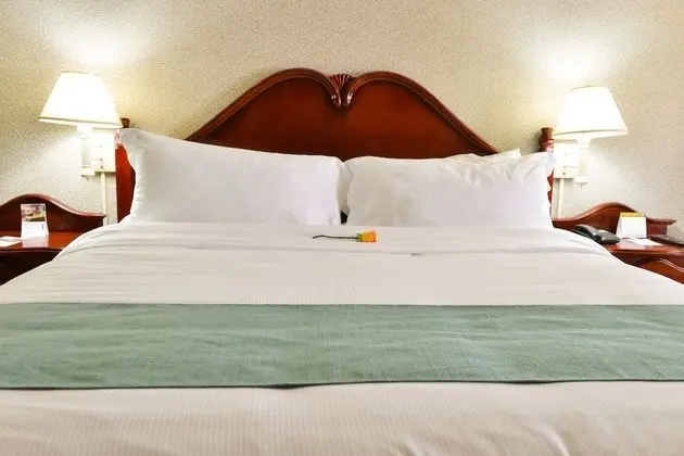 Hotel Plaza Del Libertador - Oda