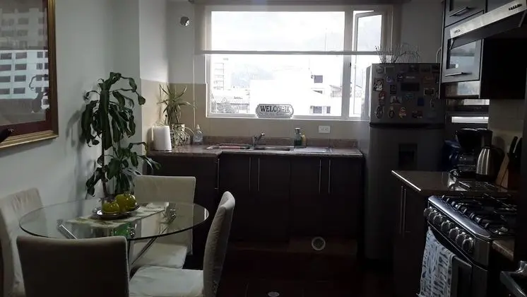 PLAZA FOCH Area - APARTMENTS with Balcony - Mutfak