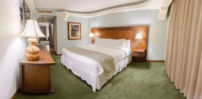 Hotel Plaza San Martin - Oda