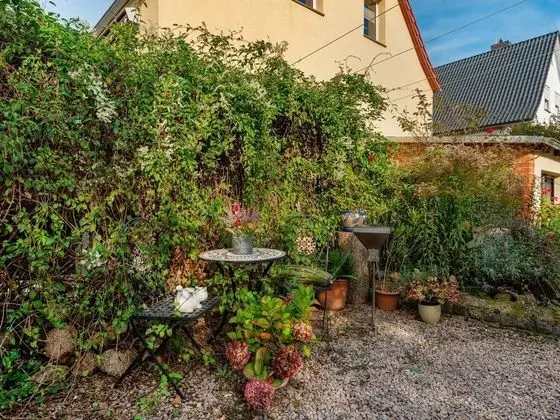 Pleasant Apartment in Bad Doberan near Sea