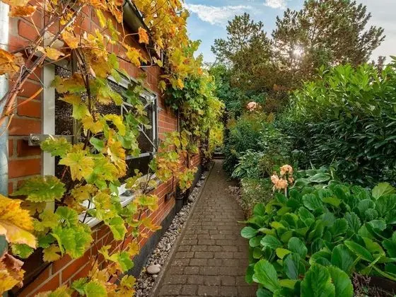 Pleasant Apartment in Bad Doberan near Sea - Lobi