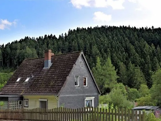 Pleasant Apartment in Wildemann Amid Forest