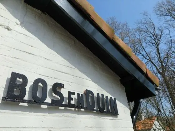 Pleasant House Directly Behind the Dunes of the Netherlands' Largest Southern Beach