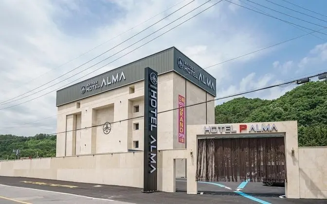 Pocheo Alma