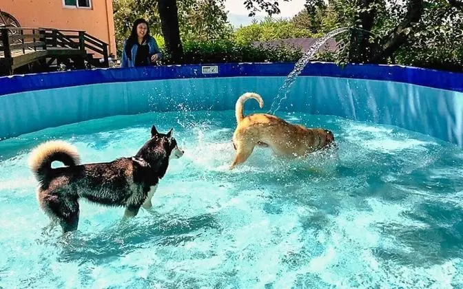 Pocheon Dawn Bell Pension