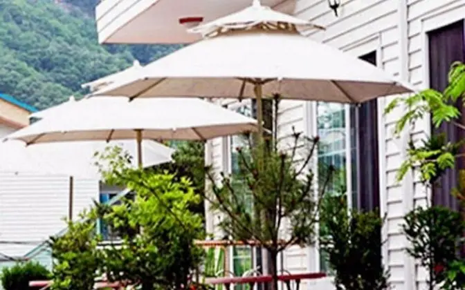 Pocheon Supsogui Hayanjip Pension - Bina Özellikleri