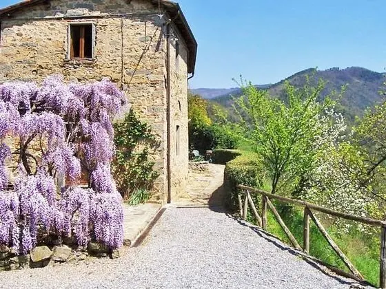 Podere Villa Apt Gigi Pietrabuona