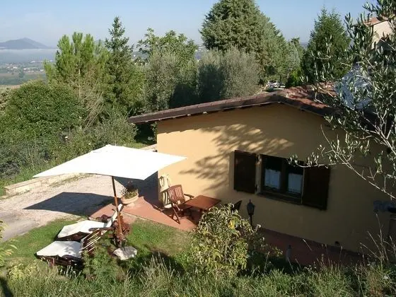 Podere Caldaruccio La Pineta - Bungalow - Öne Çıkan Resim