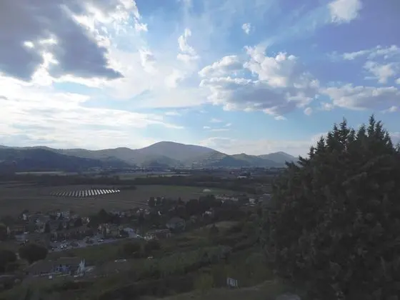 Podere Caldaruccio La Pineta - 1