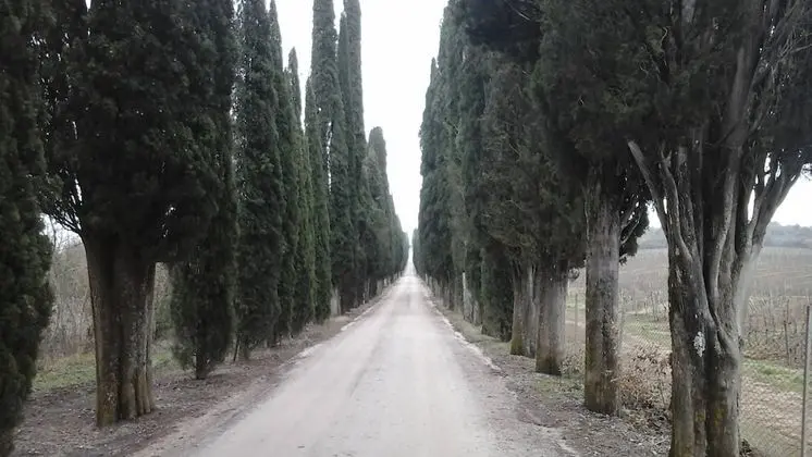 Podere Campovecchio - Dış Mekan