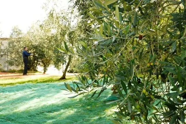 Podere Jana - Dış Mekan