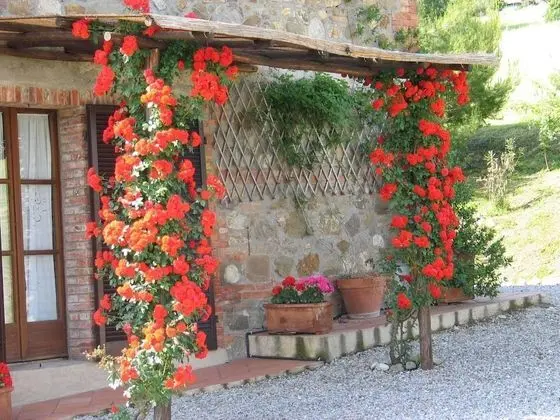 Podere La Montalla - Dış Mekan